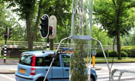 Troppo smog e polveri in casa? Piantiamola !